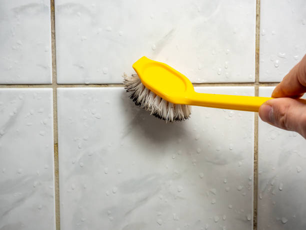 Best Mold Testing  in Springfield, GA