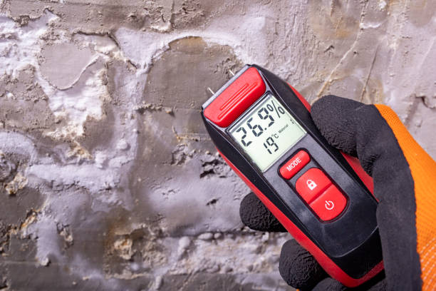 Best Water Damage Restoration  in Springfield, GA