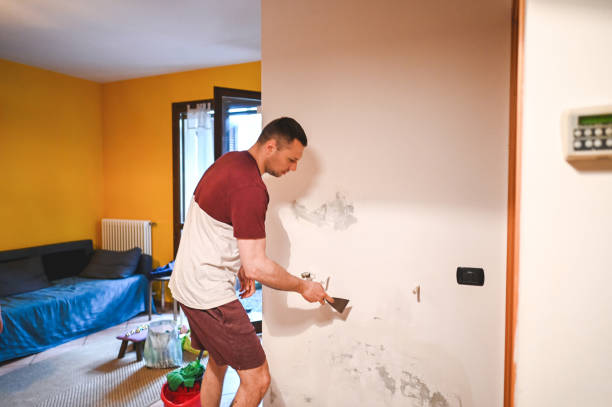 Best Home Mold Removal  in Springfield, GA